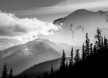 Mount Rainier National Park, WA | 
