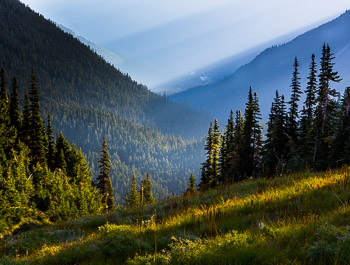 Sunrise #2, Mount Rainier National Park, WA | 