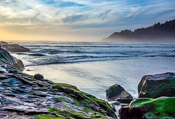 Oswald West State Park, Oregon | 