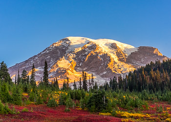 Mount Rainier National Park, WA | 