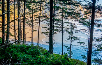 Oswald West State Park, OR | 