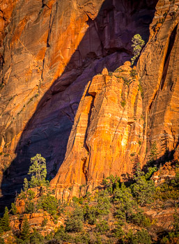 Kolob Canyon, Zion National Park, UT | 