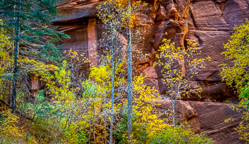 Kolob Canyon, Zion National Park, Utah | 