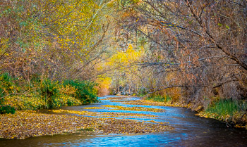 Aravaipa Canyon, AZ | 