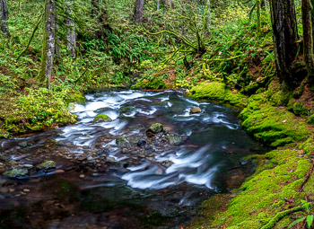 Duncan Creek, Columbia River Gorge, Washington | 