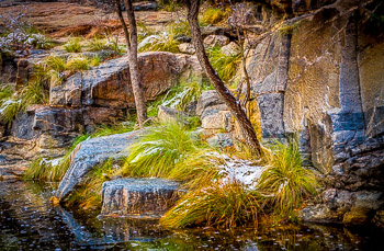 Bear Canyon,  Sabino Canyon, Tuscon, AZ | 