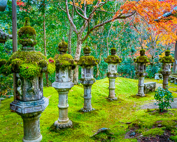 Saimyo-Ji Temple, Kyoto, Japan | 