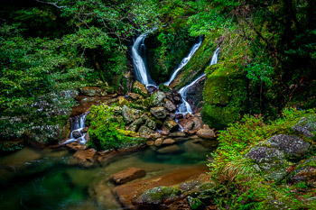 Three Falls, Yakusugi Land, Yakushima, Japan | 