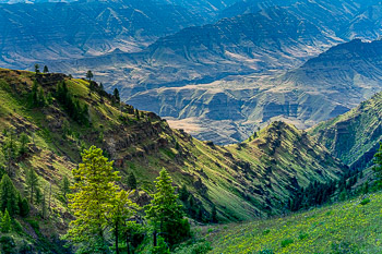 Imnaha River Canyon, Hells Canyon National Recreation Area, Oregon | 