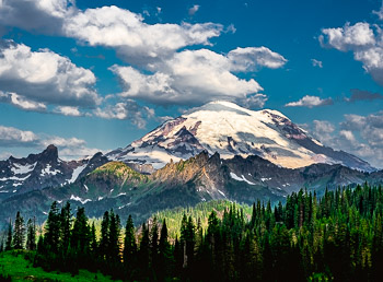 Mount Rainier National Park, WA | 
