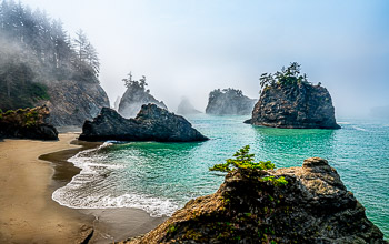 Samual Boardman State Park #2, Oregon Coast | 