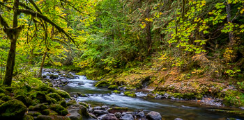 Salmon River, OR | 