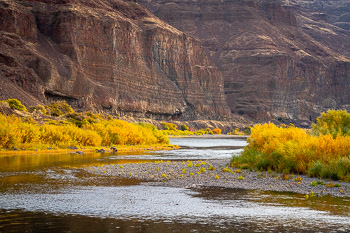Cottonwood Canyon, John Day River, OR | Early morning in the fall along the willow lined John Day River in Oregon