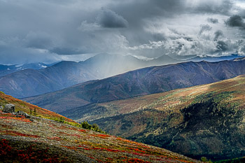 Mount Healy, Denali National Park, Alaska | 