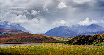 East Fork, Toklat River, Alaska Range, Denali National Park, Alaska | 