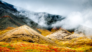 Sable Pass, Denali National Park, Alaska | 