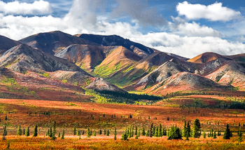 Denali Wilderness, Denali National Park, Alaska | 