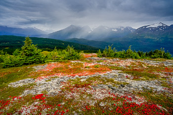 Chugach National Forest, Alaska | 