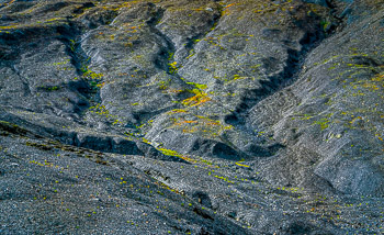 Kenai Fiords National Park, Alaska | 