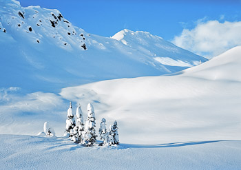 Winter, Selkirk Mountains, BC | A pristine blanket of snow covers the Selkirk Mountains on a bright and sunny morning. A few dwarf conifers are the only trees.
