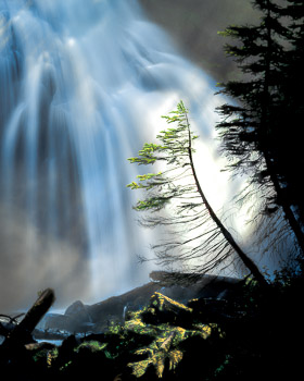 Whychus Creek, Three Sisters Wilderness, OR | A lone Douglas Fir reaching for the light is silhouetted against Whychus Creek Falls.