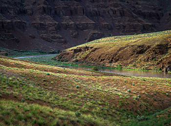 John Day River, OR | Bunchgrass and sage dot the slopes of this Oregon High Desert river.