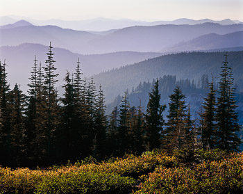 Sandy River Watershed and Cascades, OR | The evening light silhouettes the myriad ridgelines and forest.