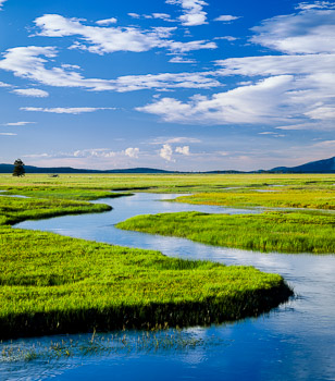 Sycan Marsh, Klamath Basin, OR, #67999 | A slow flowing sheet of water supports an ecosystem of life here in this wetland of the Sycan River.