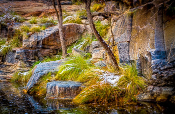 Bear Canyon,  Sabino Canyon, Tuscon, AZ | 