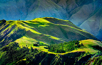 Hat Point, Hells Canyon National Recreation Area, Oregon | Mid morning light on the ridgetops in Hells Canyon National Recreation Area.