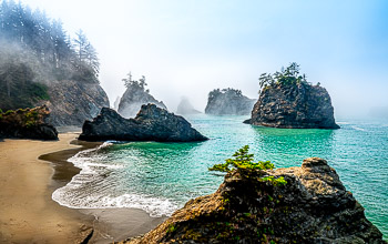 Samuel Boardman State Park, Oregon Coast | 