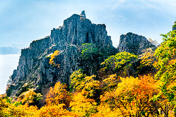Oaks, Columbia River Gorge, Lyle, Washington | 