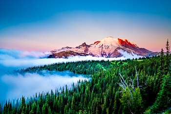 Mount Rainier National Park, WA | Fog fills the low valleys as sunrise illuminates alpenglow on Mount Rainier.
