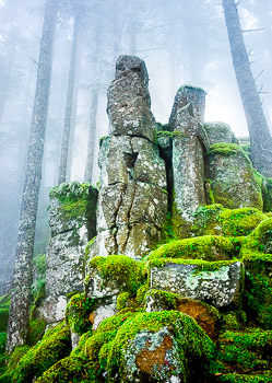Basalt Pillars, Ruckel Ridge, Columbia Gorge, OR | Fog shrouds columnar basalt towers at Ruckle Ridge.