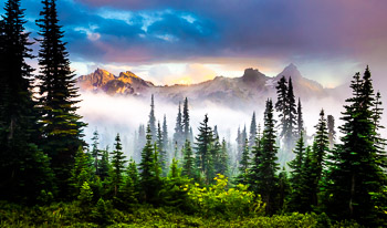 Tatoosh Range, Mt. Rainier National Park, WA | Sunset illuminates the Tatoosh Range during a clearing storm. This photograph was made from Mt. Rainier’s Paradise trail area in early fall. The Tatoosh Traverse, a challenging but rewarding day hike, follows the ridgeline.