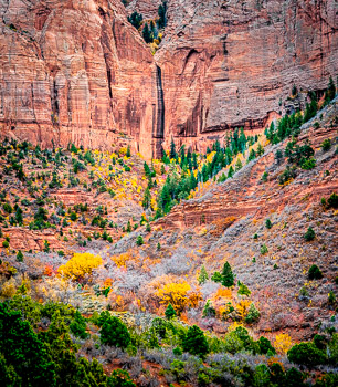 Autum, Kolob Canyon, Zion National Park, UT | 